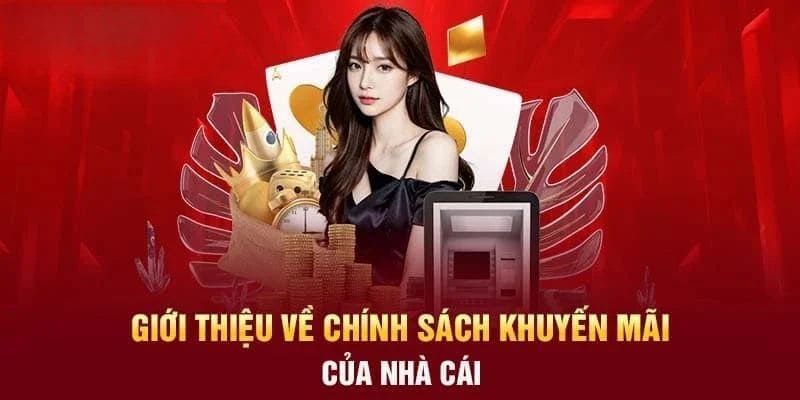 Các chương trình ưu đãi mang lại sự hào hứng cho người tham gia