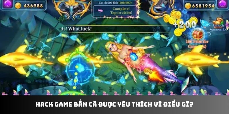 Hack game bắn cá được yêu thích vì điều gì?