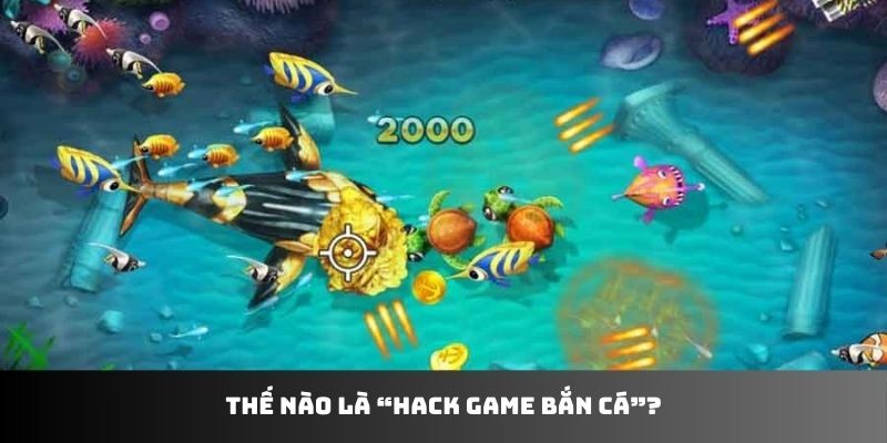 Thế nào là “hack game bắn cá”?