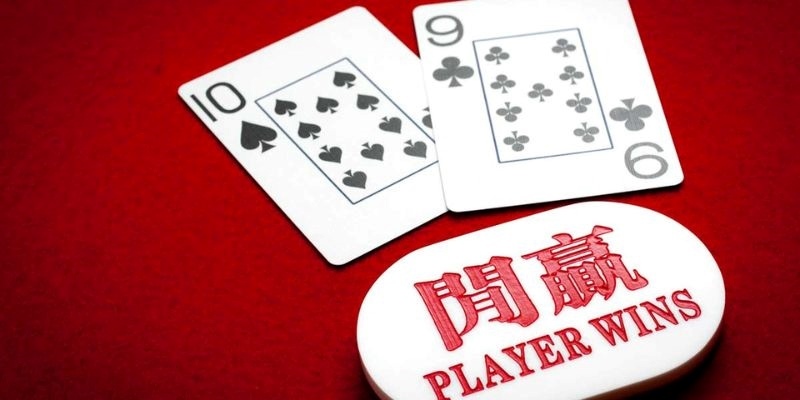 Thông tin sơ lược về tool baccarat là gì?